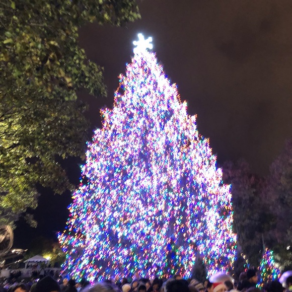 Meet your Posher, Adaora - Picture 1 of 1